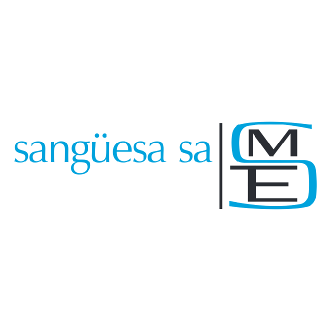 Sanguesa